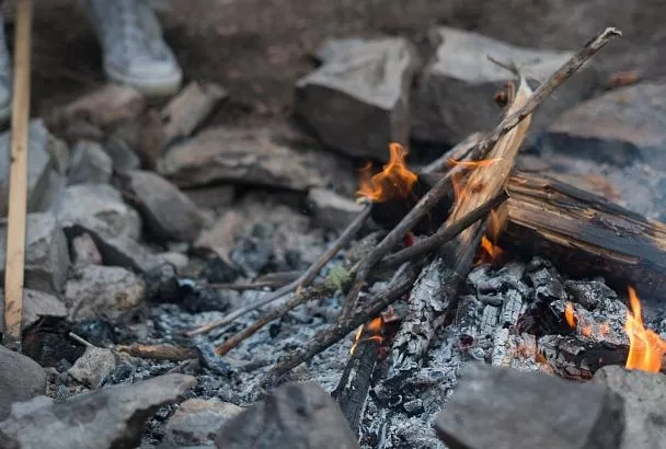 Зола может быть не так полезна для растений, как кажется