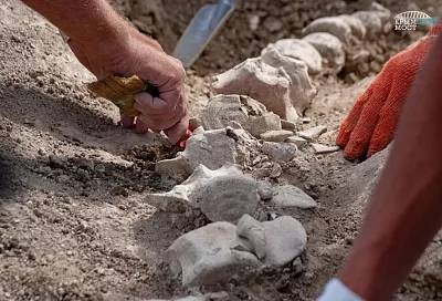 Более 1 млн артефактов обнаружено при строительстве Крымского моста 