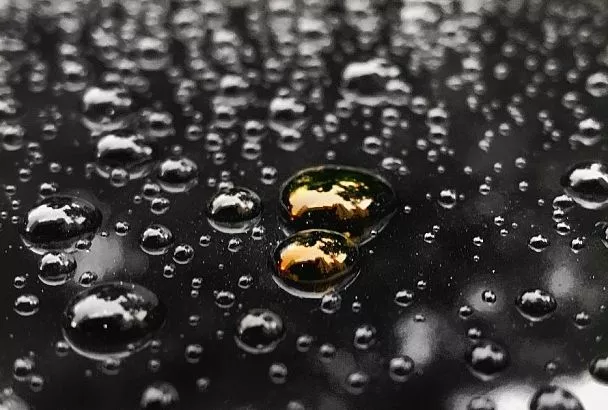 Так делала моя бабушка: деготь – проверенный защитник от насекомых, болезней и грызунов