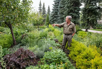 6 растений-агрессоров, которые разорят ваш участок – не сажайте их никогда