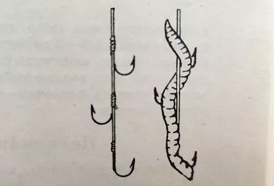 Сходов рыбы больше не будет: метод «3 крючка» при ловле трофеев (на фото)