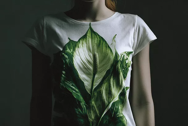 Как спасти умирающий спатифиллум: пошаговое руководство