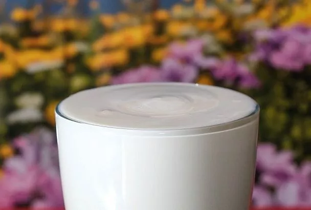 Кефир против мучнистой росы: кисломолочные бактерии спасают урожай