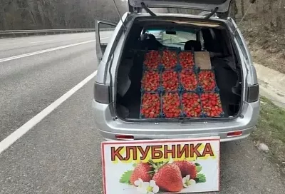 Глава Туапсинского округа предостерег автопутешественников от покупки ягод на обочинах трассы