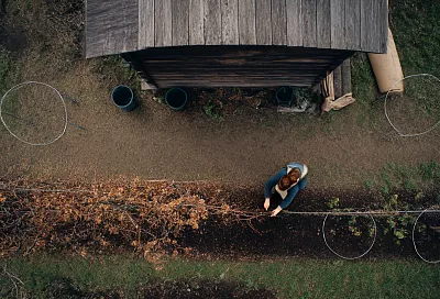 Как укрыть сад на зиму в середине ноября