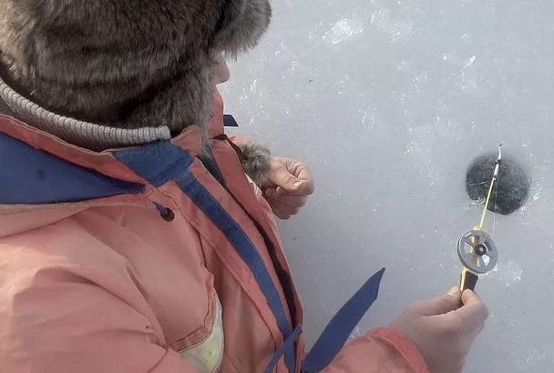 Зимняя щука клюет на живца: ищем щучью «точку» — и ловим, пока другие сматывают удочки