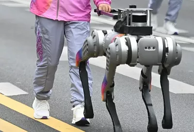 Учёные обучили робособаку быть поводырём с голосовыми подсказками