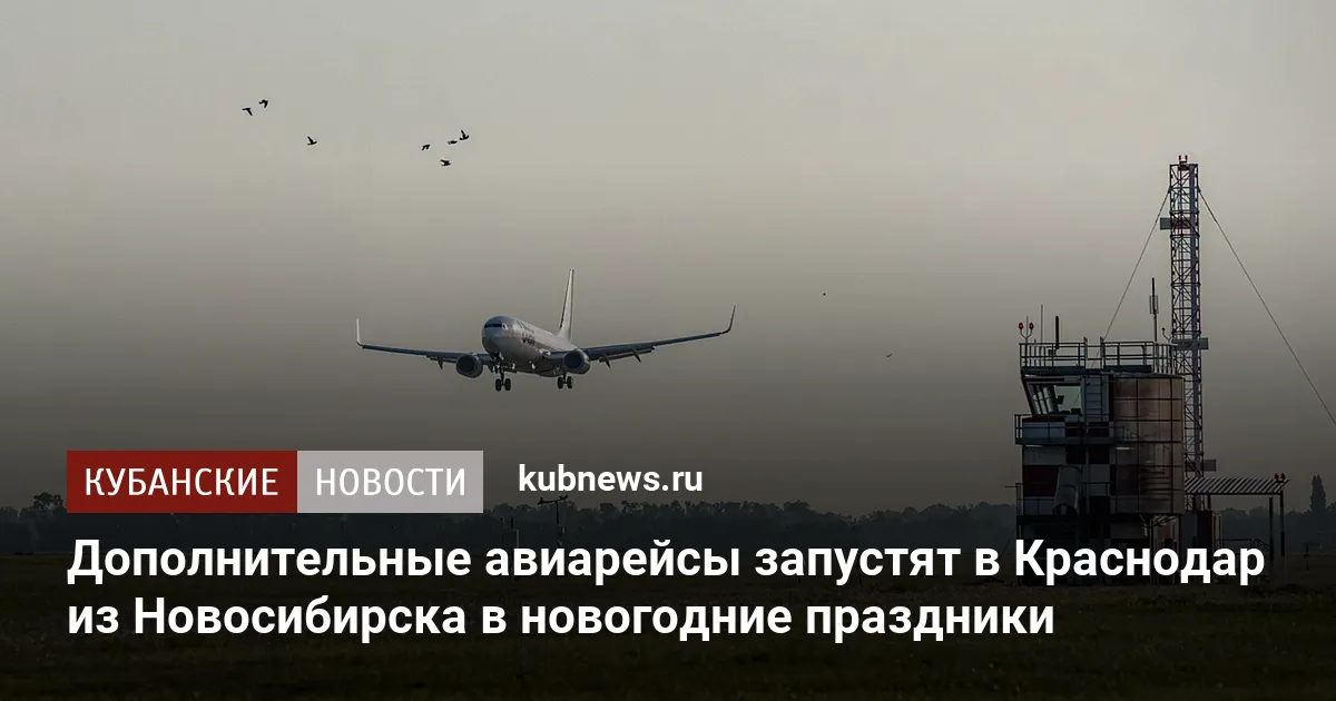 Дополнительные авиарейсы запустят в Краснодар из Новосибирска в новогодние праздники