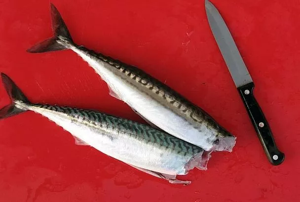 Засолка скумбрии за 5 минут — такой рецепт сделает ее вкуснее дорогой красной рыбы