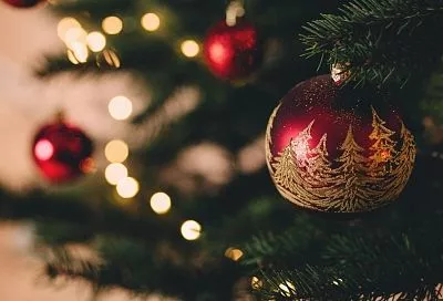 В Краснодарском крае производят все главные атрибуты Нового года – елки и игрушки