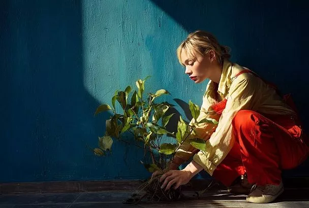 Как укоренить черенок без "Корневина": 2 натуральных рецепта, которые действительно работают