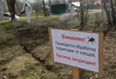 В Краснодаре от опасных насекомых обработали 30 гектаров зеленых зон