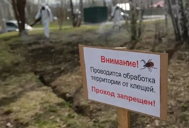 В Краснодаре от опасных насекомых обработали 30 гектаров зеленых зон