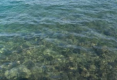 Черное море на курортах Краснодарского края ощутимо остыло