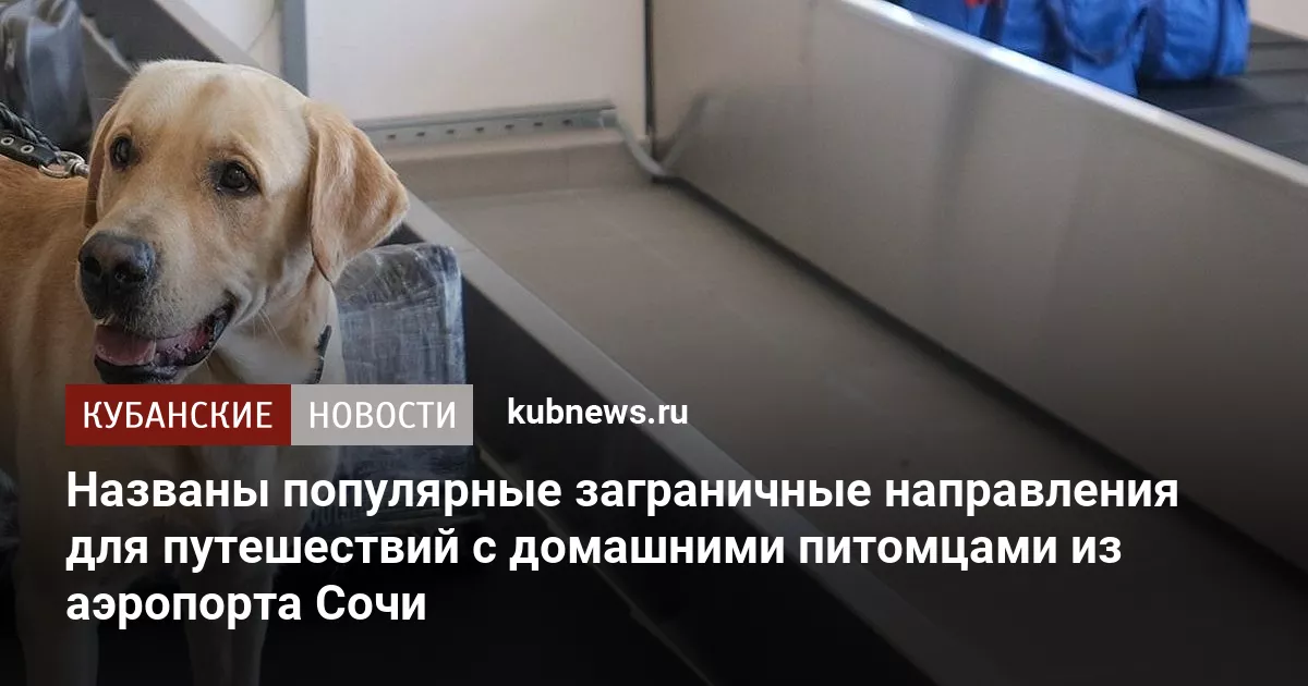 Названы популярные заграничные направления для путешествий с домашними питомцами из аэропорта Сочи