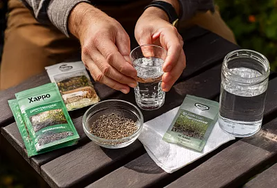 Как посеять укроп, чтобы он взошёл дружно и дал пышную зелень