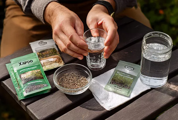 Как посеять укроп, чтобы он взошёл дружно и дал пышную зелень