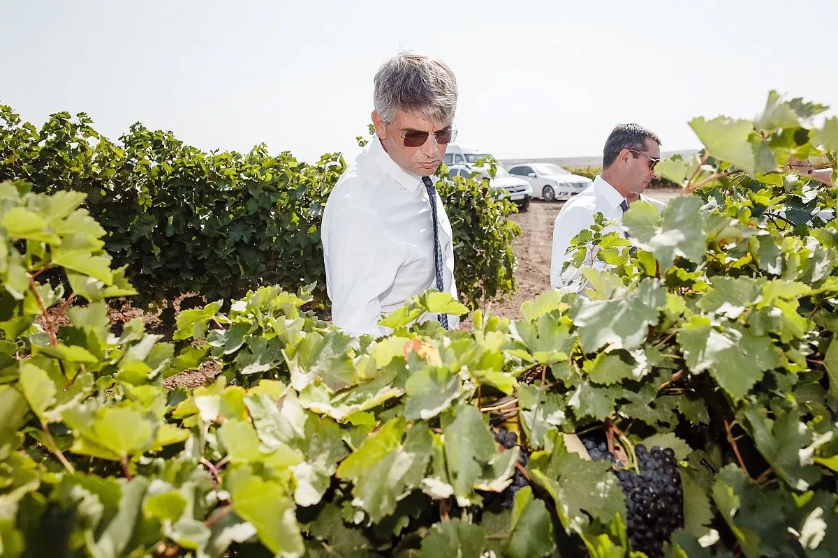 Сотрудничество с одним из мировых лидеров в производстве сельскохозяйственных машин обеспечивает агрофирме «Южная» эксклюзивные условия поставки техники и запчастей марки DEUTZ-FAHR. Сотрудничество с одним из мировых лидеров в производстве сельскохозяйственных машин обеспечивает агрофирме «Южная» эксклюзивные условия поставки техники и запчастей марки DEUTZ-FAHR.