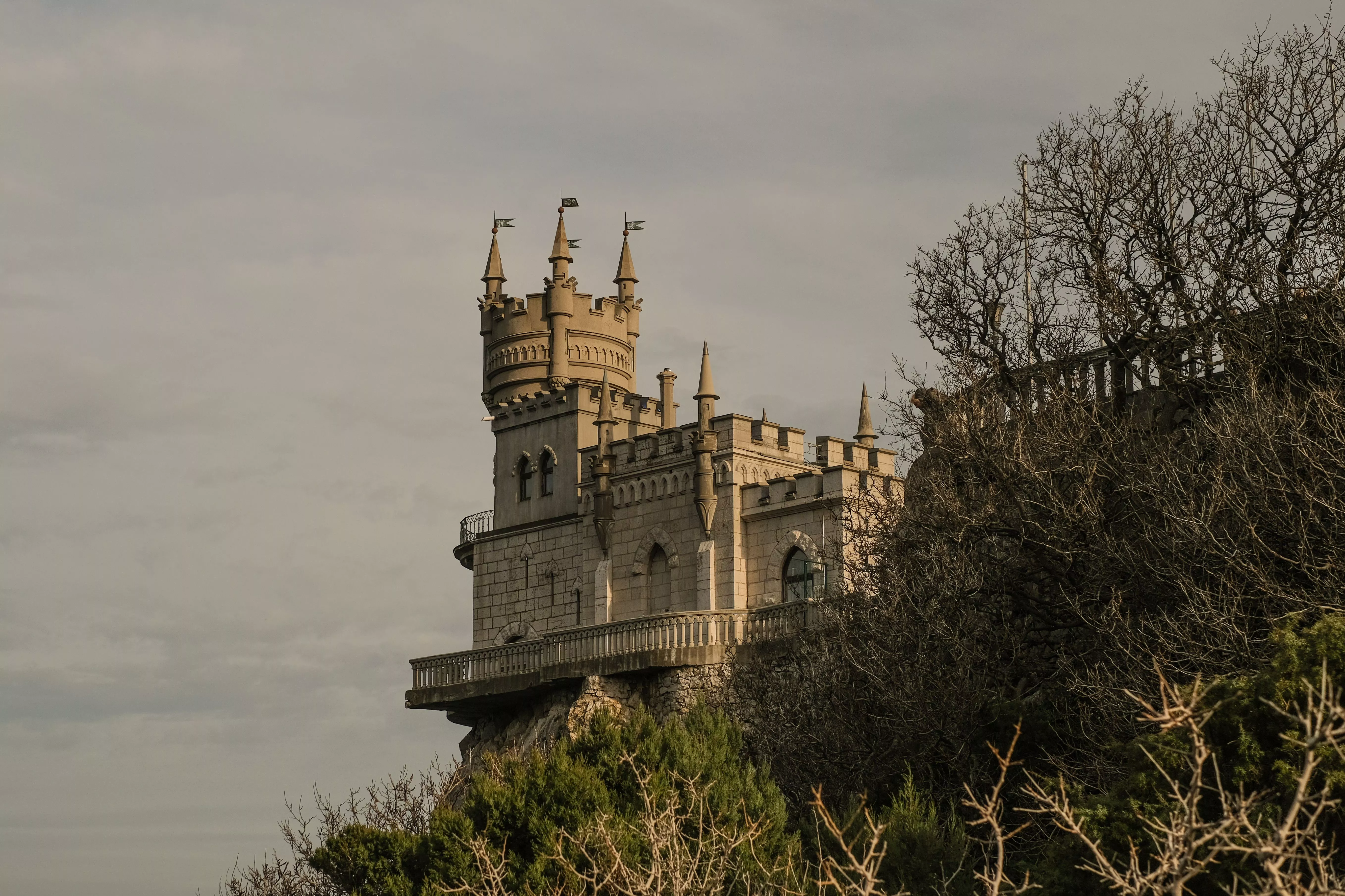 Пострадавшая после падения с «Ласточкиного гнезда» кошка Муся полностью восстановилась