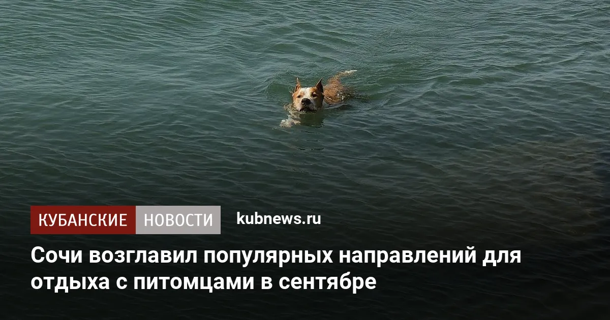 Сочи возглавил популярных направлений для отдыха с питомцами в сентябре