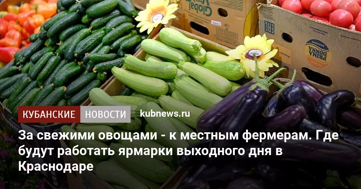 За свежими овощами - к местным фермерам. Где будут работать ярмарки выходного дня в Краснодаре