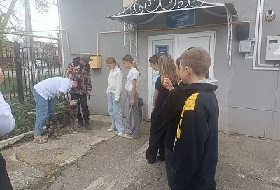 Экскурсию в ветеринарную лечебницу организовали специалисты Мостовского района