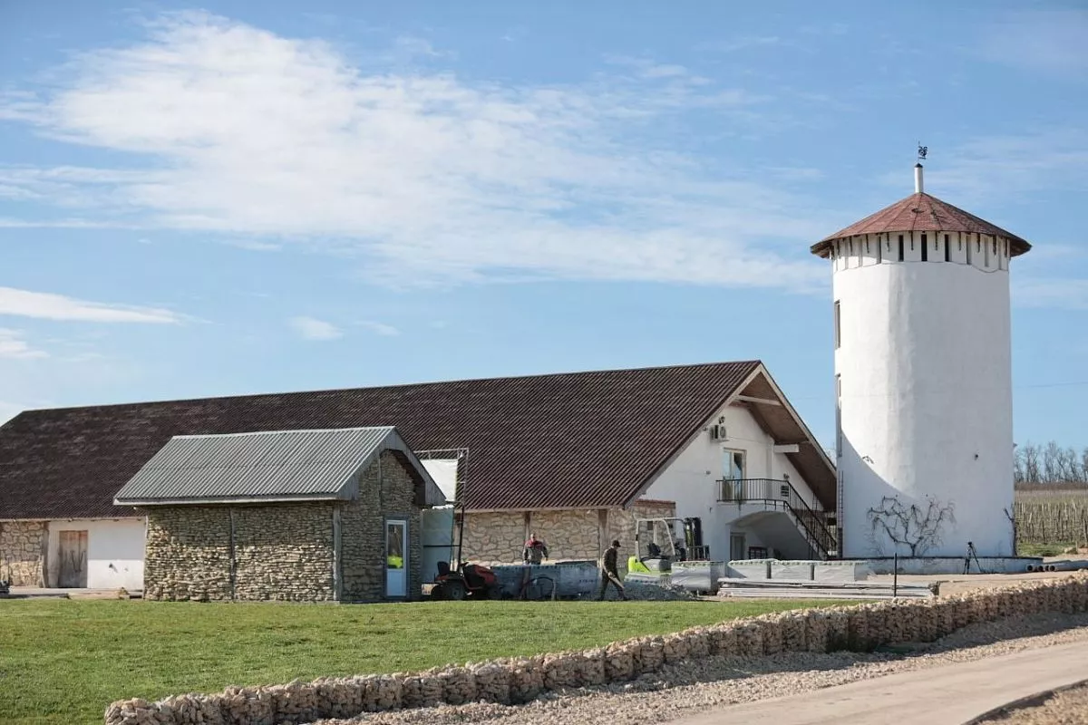 Винная деревня Винная деревня