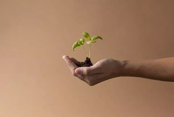 Точность – оружие садовода: обзор бытовых аппаратов для измерения кислотности почвы