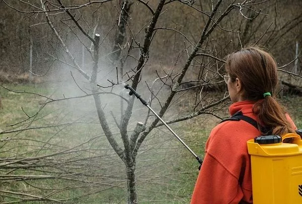 Защита фруктового сада от вредителей: сделайте это обязательно, иначе они съедят весь ваш урожай 