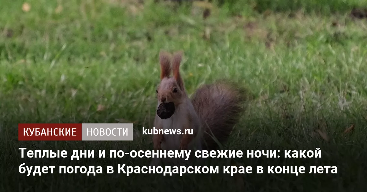 Теплые дни и по-осеннему свежие ночи: какой будет погода в Краснодарском крае в конце лета