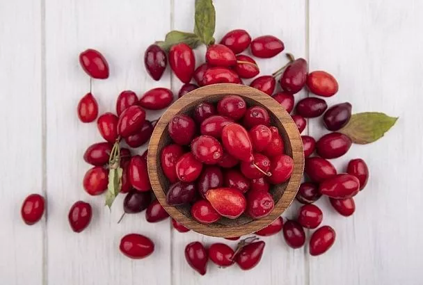 Заготовьте кизил без стояния у плиты: рецепты легкой заморозки ягодами и пюре