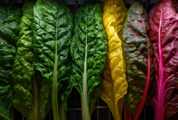 Листовая зелень круглый год: что посадить в конце лета