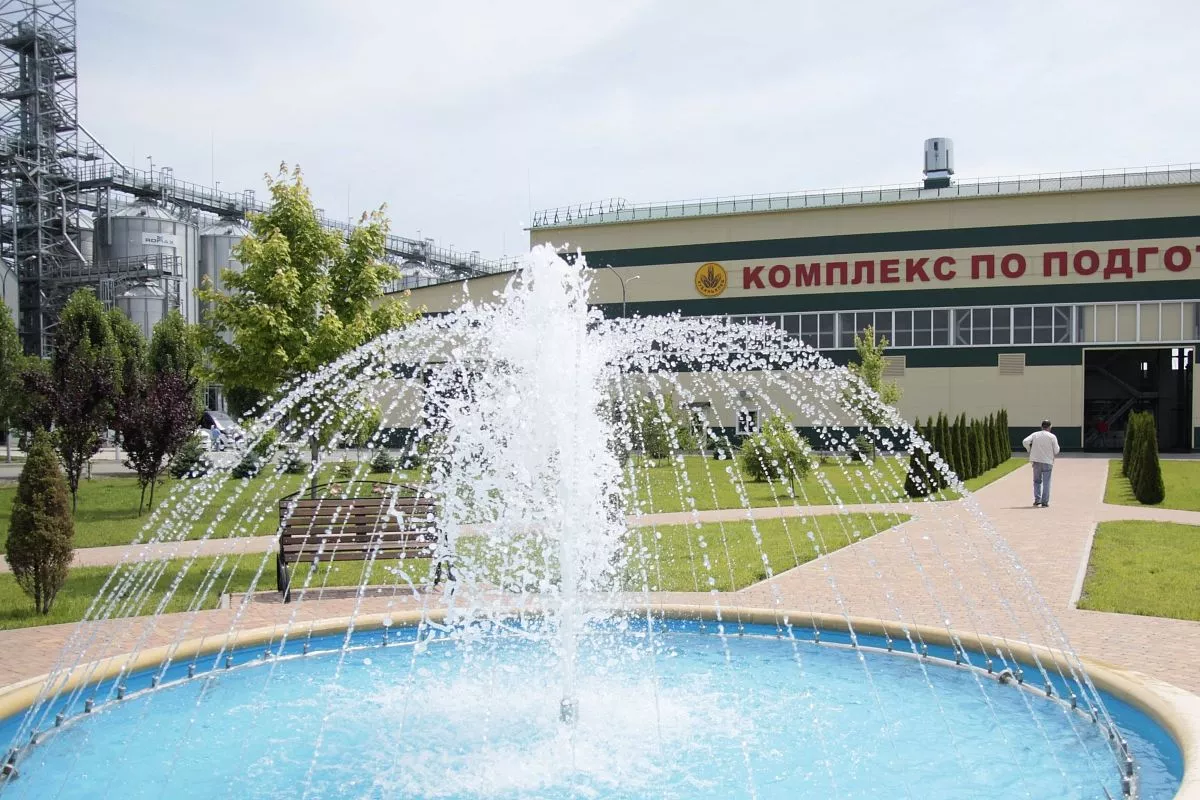 Комплекс подготовки семян в станице Краснооктябрьской демонстрирует, как далеко современное семеноводство шагнуло вперед.