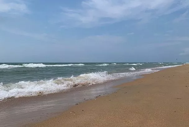 В Оперштабе заявили, что гибель птиц на пляже Анапы не связана с вирусными заболеваниями