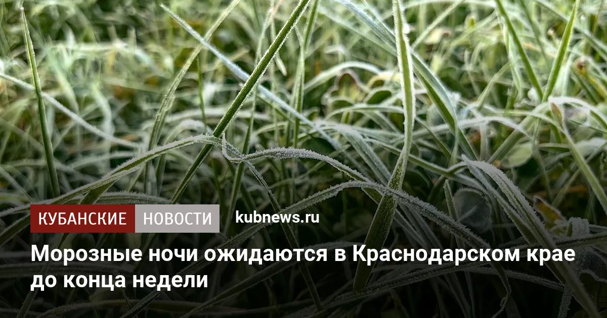 Морозные ночи ожидаются в Краснодарском крае до конца недели