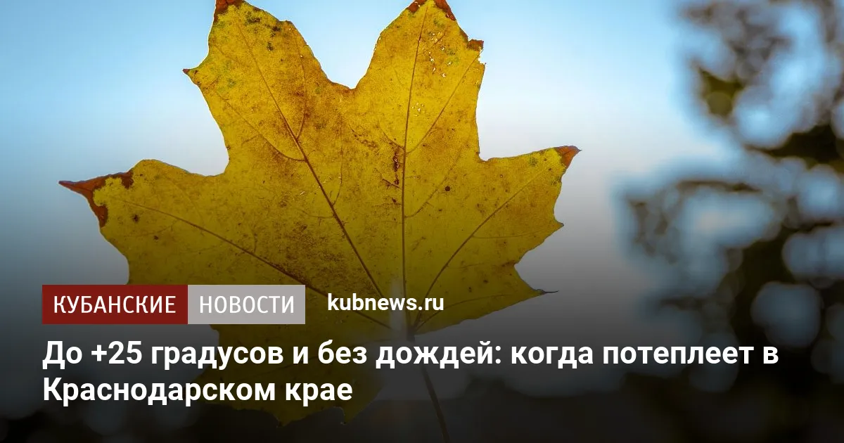 До +25 градусов и без дождей: когда потеплеет в Краснодарском крае