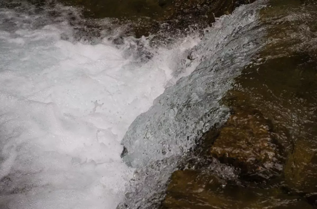 Уровень воды поднялся в пяти реках Краснодарского края 