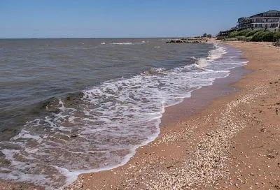 Обнаруженный два года назад в Азовском море чужеродный краб освоил весь Таманский залив