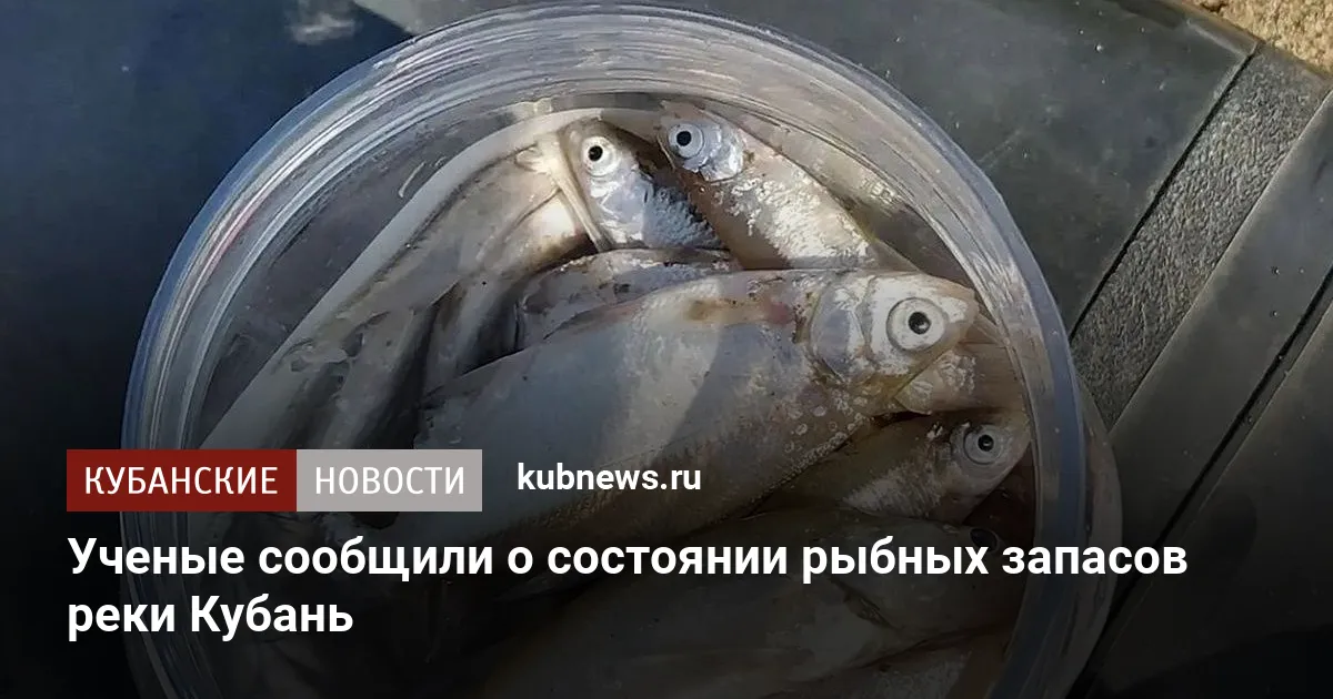 Ученые сообщили о состоянии рыбных запасов реки Кубань
