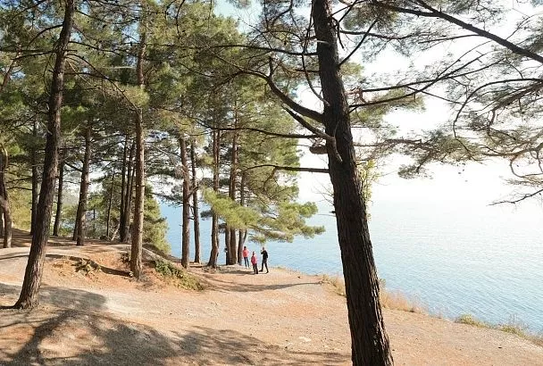 Стало известно, какие активности будут доступны туристам в Туапсинском округе в летнем сезоне