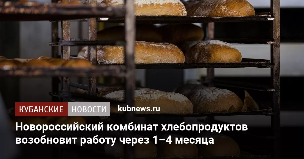 Новороссийский комбинат хлебопродуктов возобновит работу через 1–4 месяца