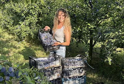 Блогер из станицы на Кубани обошла Оксану Самойлову и Азамата Мусагалиева по доходам от рекламы в «Макс»