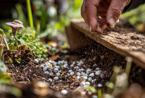 Слизни просыпаются в марте: как уничтожить их сейчас и спасти рассаду летом