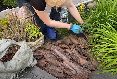 За 1 день победил сорняки и забыл про полив: 7 причин (и 1 секрет), чтобы укрыть свой участок такой корой