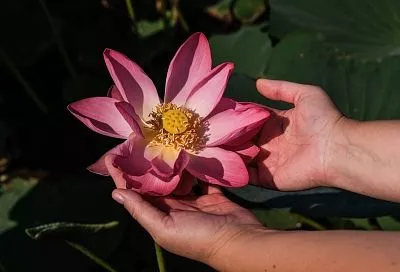 Азовское приключение: пять причин отдохнуть в Темрюкском районе