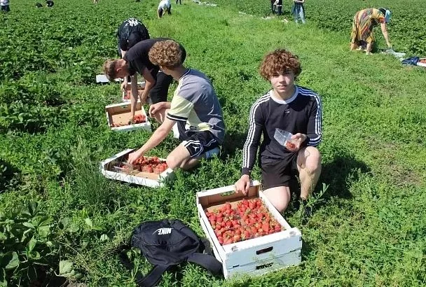Более 23 тысяч подростков трудоустроились летом в Краснодарском крае благодаря кадровому центру