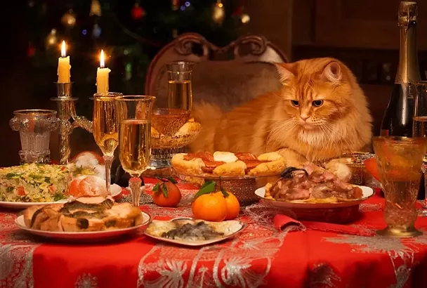 Чем угостить кошку на Новый год со стола: праздник без вреда для здоровья