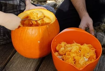 Будьте рачительны: как с пользой для дела и тела можно использовать мякоть тыквы, которую все выбрасывают