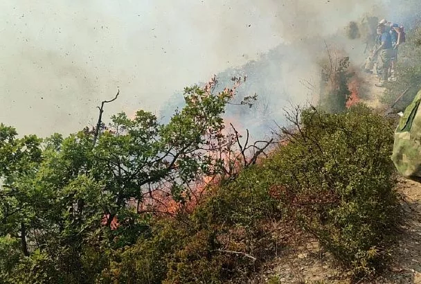 Площадь природного пожара под Анапой выросла до 11,2 га