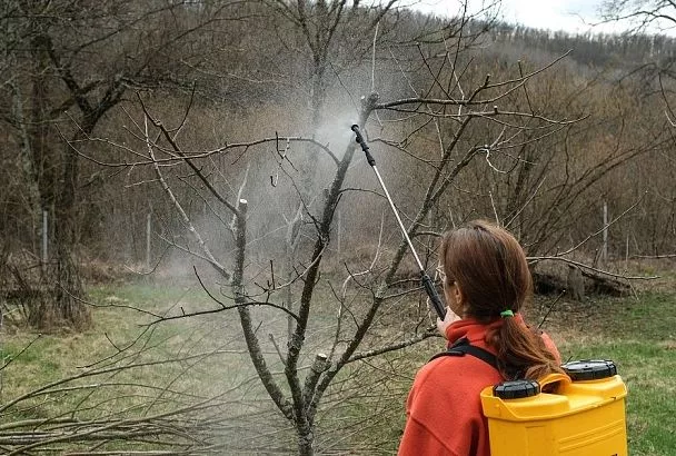 Азбука садовода: как правильно использовать медный и железный купоросы